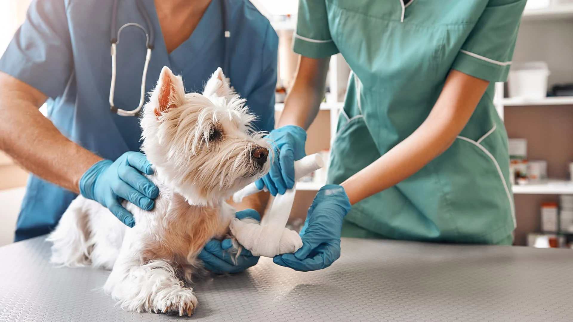 Производитель медицинских тестов VolitionRx получил $13 млн от Heska