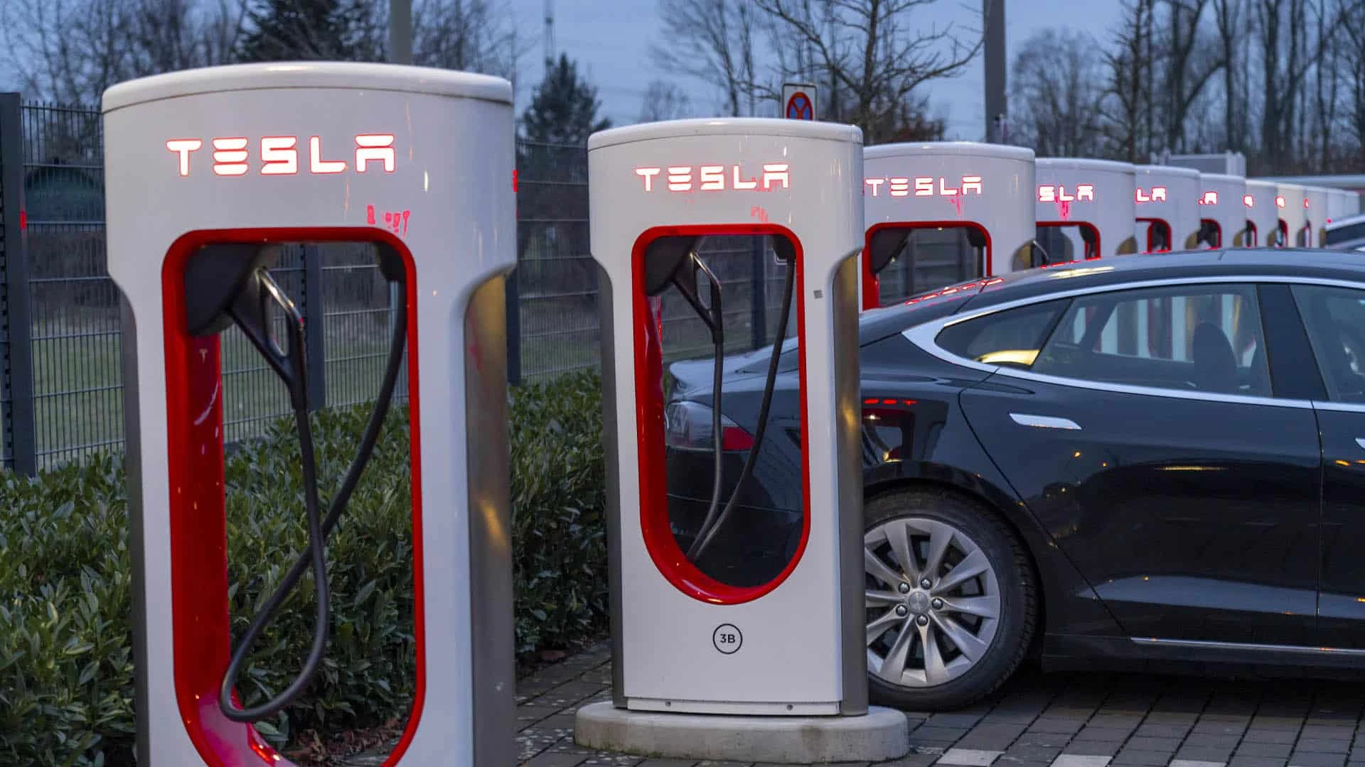 Tesla отзовет почти все свои автомобили в США  / IMAGO/Jochen Tack via Reuters Connect