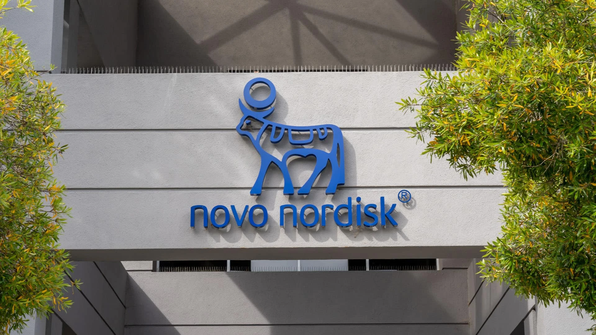 Контролирующий акционер Novo Nordisk планирует к 2030 году увеличить инвестиции более чем вдвое / Фото: shutterstock
