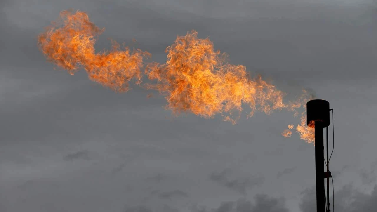 Энергетическая компания Palmet в преддверии IPO может увеличить свою долю на газовом рынке Турции до 20% / Фото: Reuters/Angus Mordant