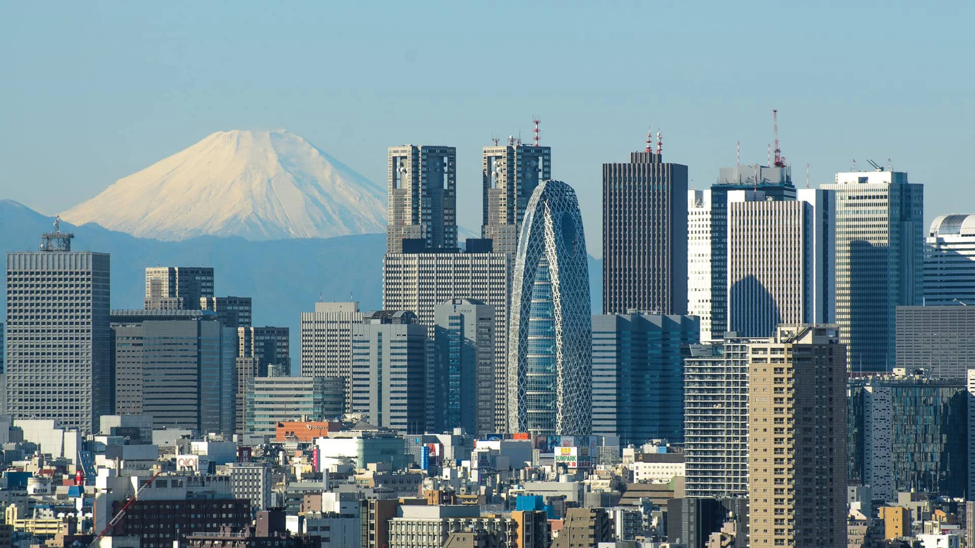Небоскребы делового центра Токио / Фото: shutterstock