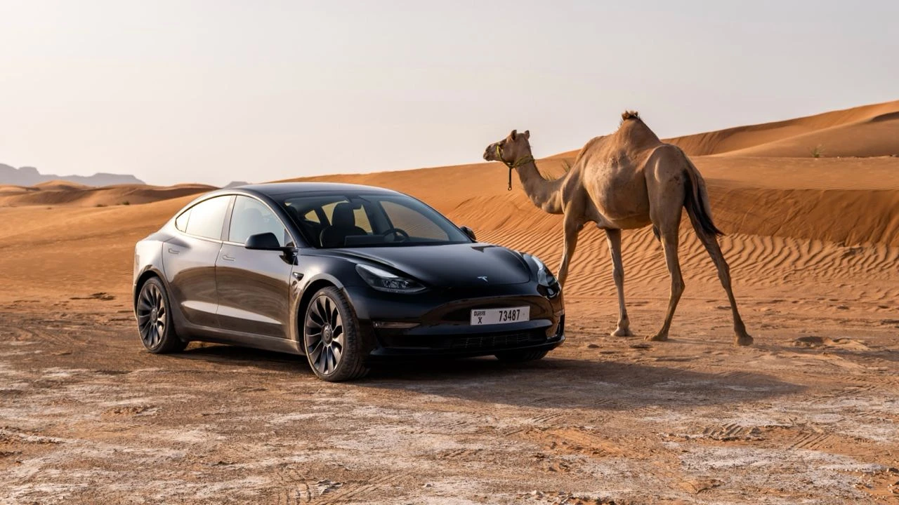 Tesla вряд ли сможет масштабировать производство нового электромобиля так быстро, как надеется Уолл-стрит, считает Evercore / Фото: Tesla