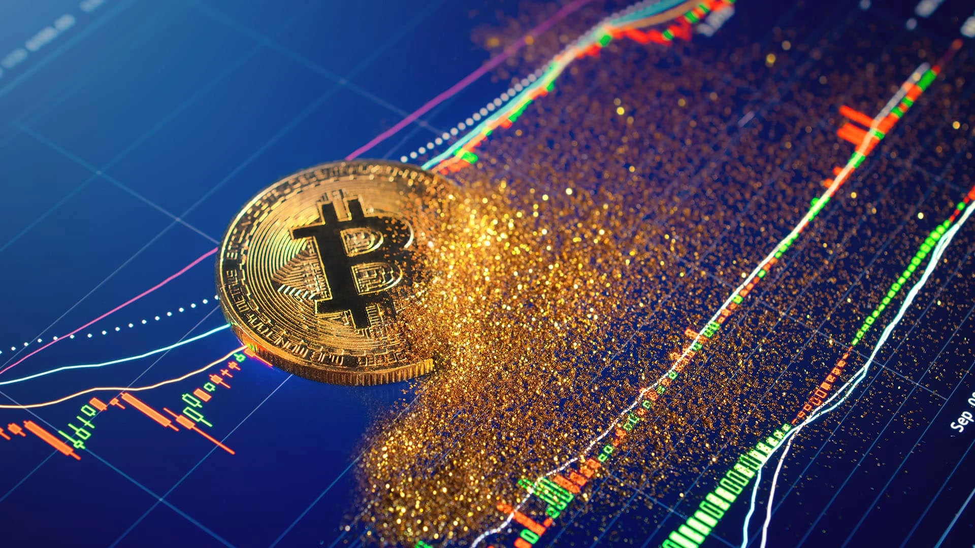 Биткоин упал после серии ценовых рекордов / Фото: shutterstock