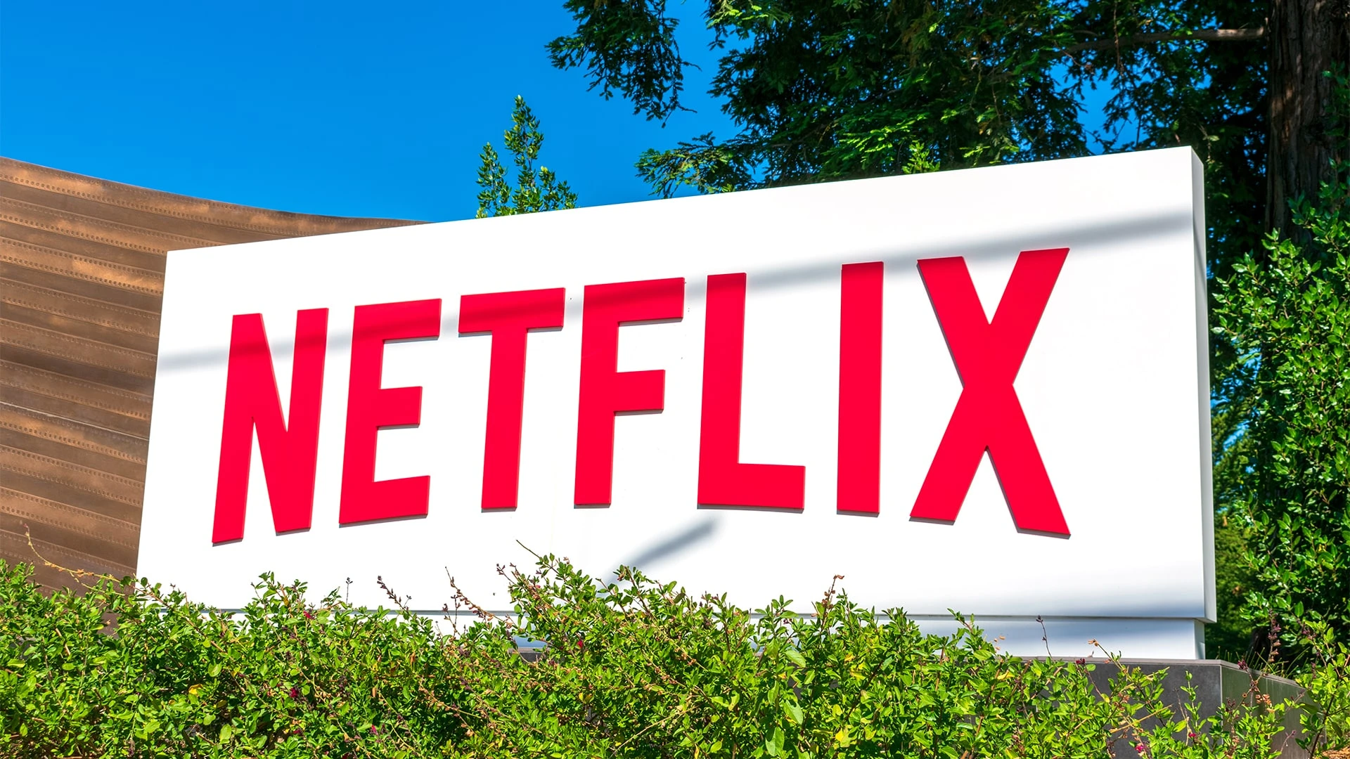 Отчет Netflix - один из самых ожидаемых на этой неделе на Уолл-стрит / Shutterstock
