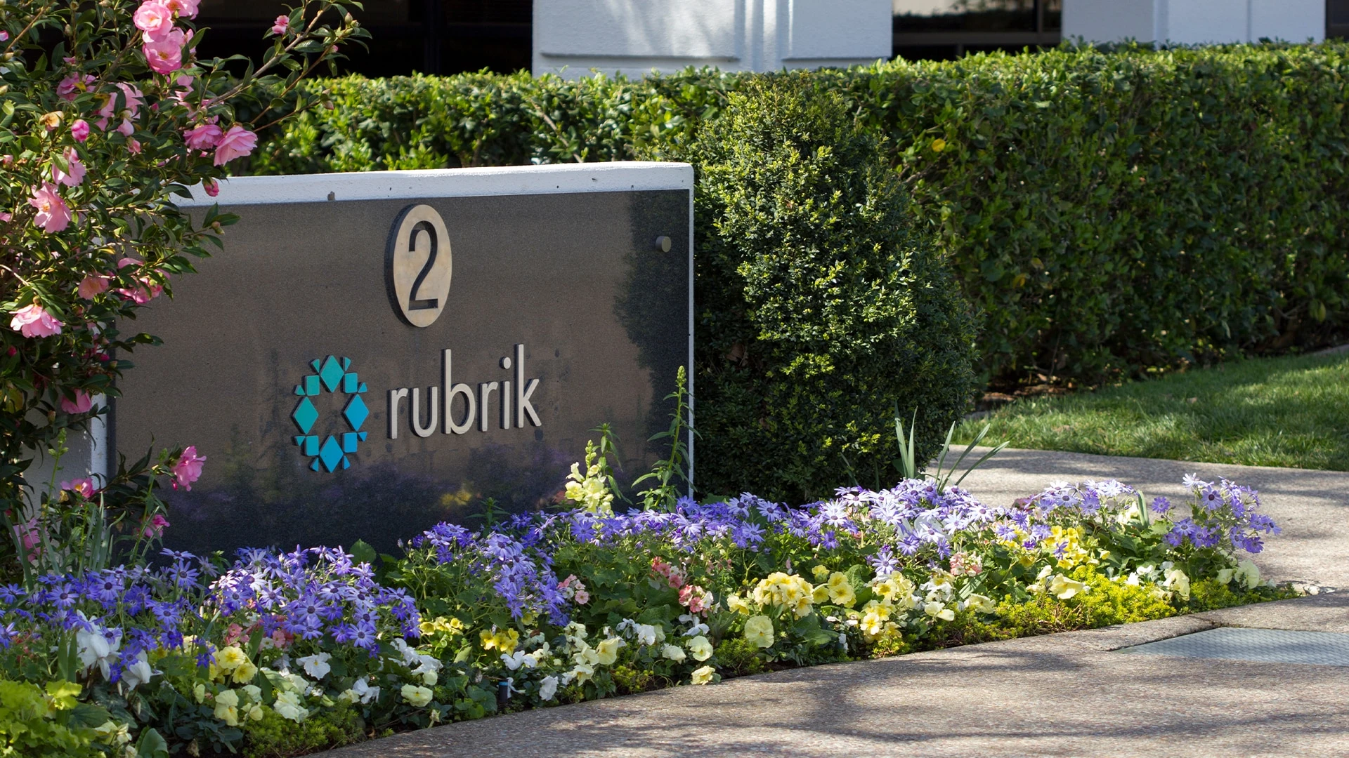 Высокий спрос позволит Rubrik скорректировать параметры IPO / Фото: Shutterstock