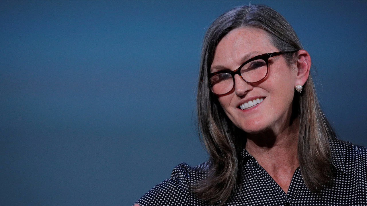 Инвестиционные фонды Кэти Вуд теряли деньги даже на бычьем рынке Фото: Reuters/Brendan McDermid