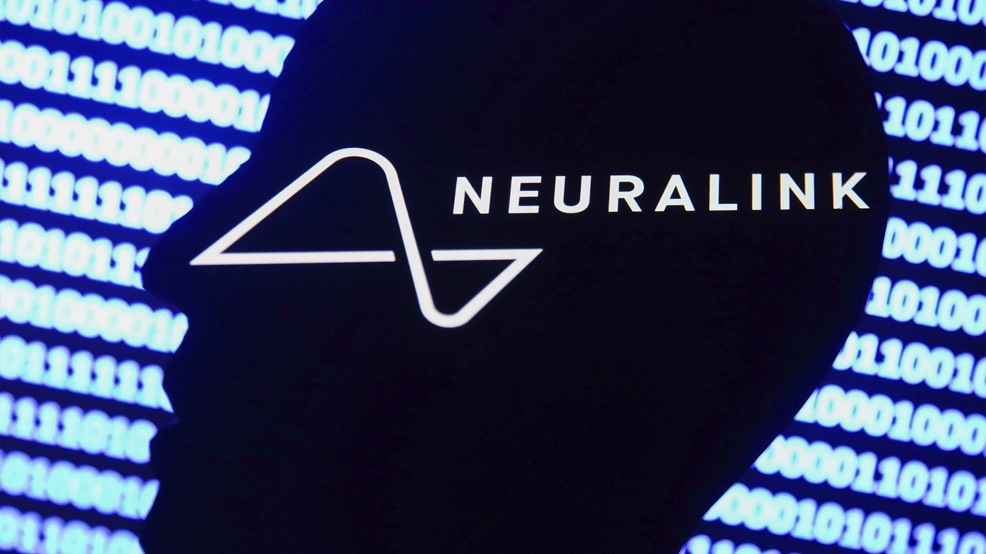 Neuralink Илона Маска надеется вживить мозговые имплантаты нескольким пациентам до конца этого года / Фото: Jakub Porzycki/NurPhoto/Reuters