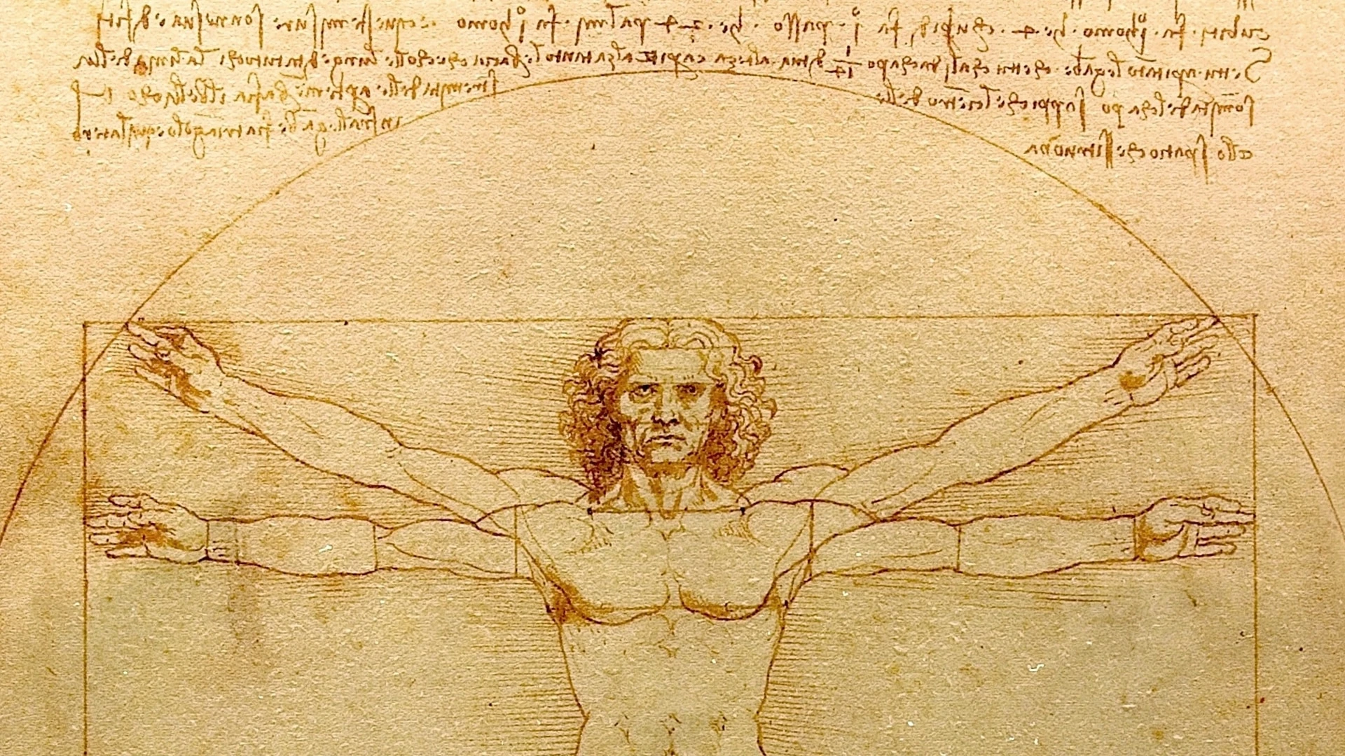 Леонардо Да Винчи. Витрувианский человек, 1490. Gallerie dellAccademia, Venice/Wikimedia Commons