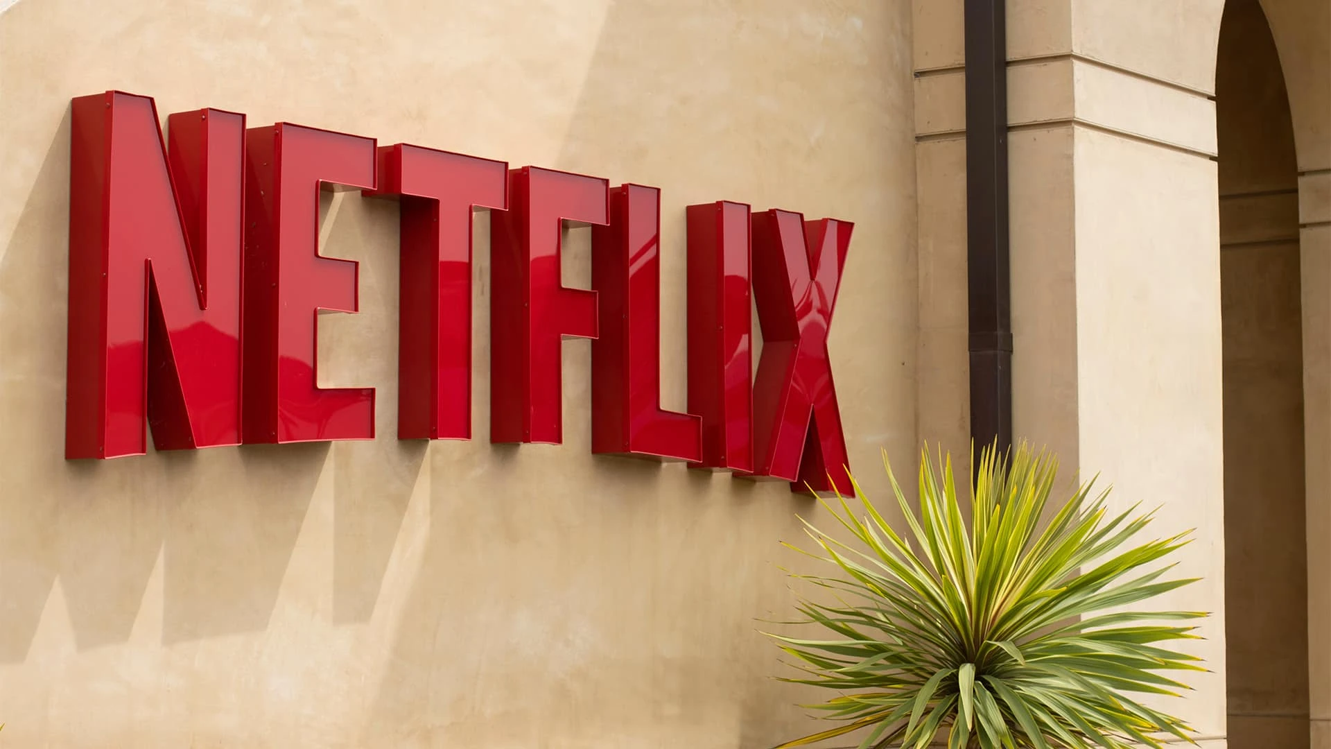 Netflix отчитается за квартал после закрытия торгов в четверг / Фото: Shutterstock