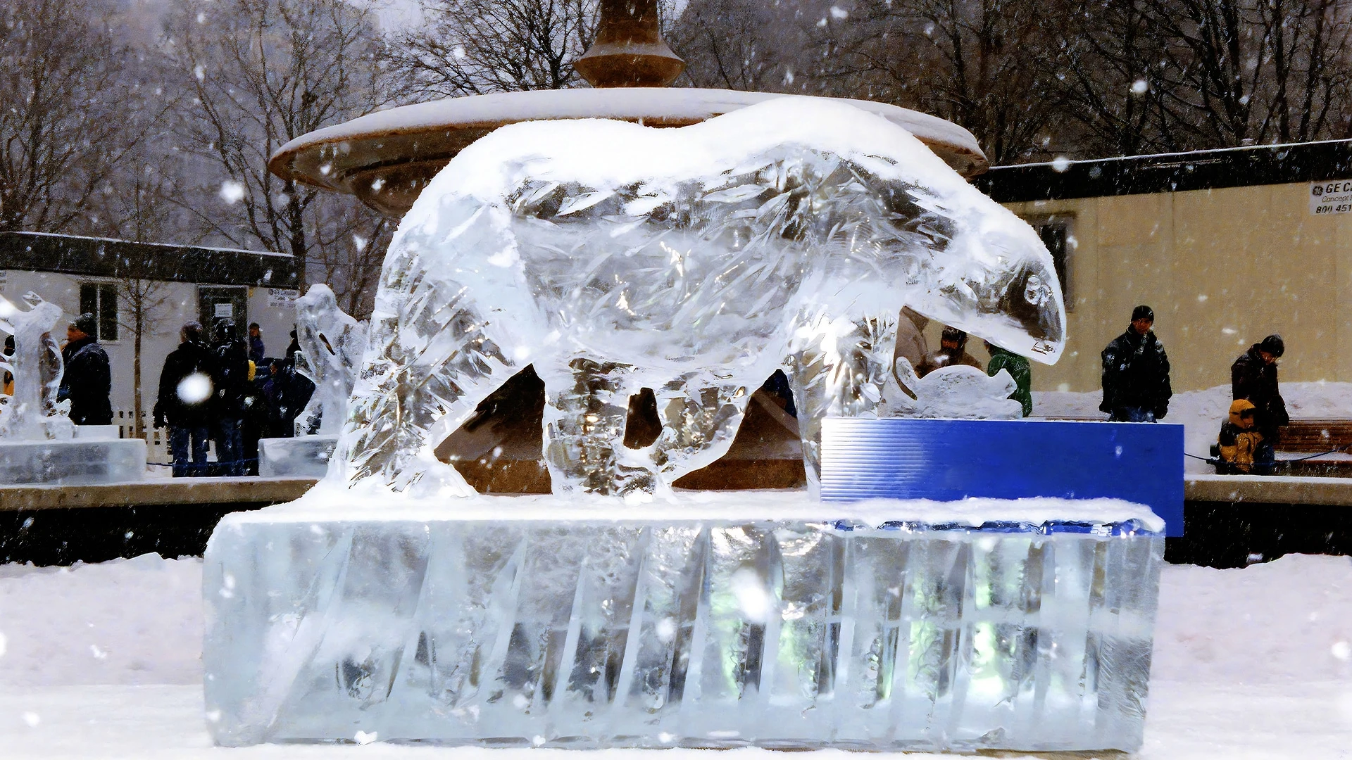 Известный точными прогнозами инвестор Дэвид Рош предупредил, что в 2025 году фондовый рынок США может упасть на 20% / Фото: Shutterstock