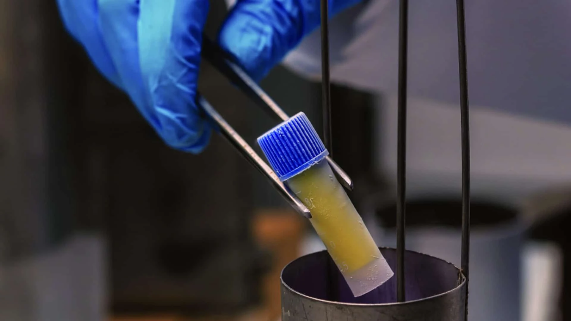 Zacks SCR предсказала BioStem двукратный рост /Фото: Linkedin / Biostem-technologies