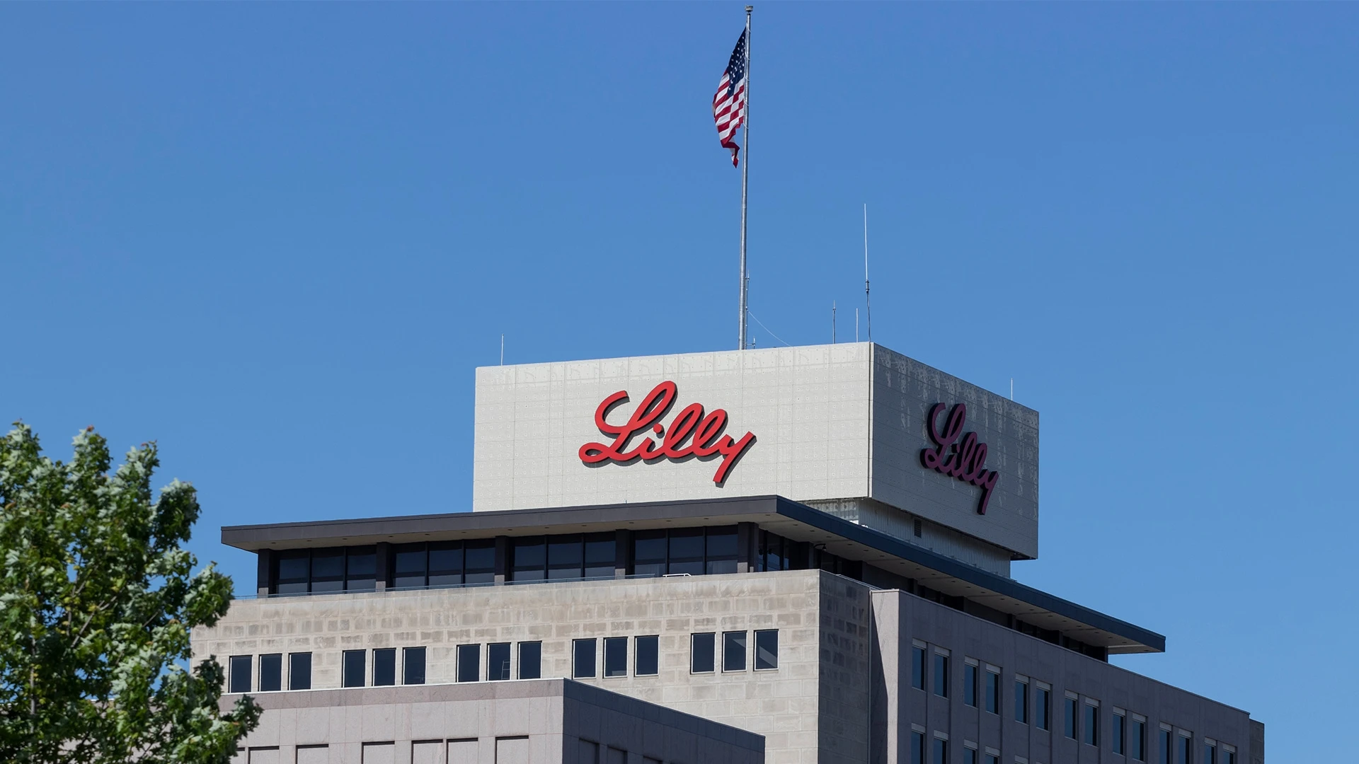 По версии IBD, бумаги Eli Lilly входят в 2% лучших акций по фундаментальным и техническим показателям / Фото: Shutterstock