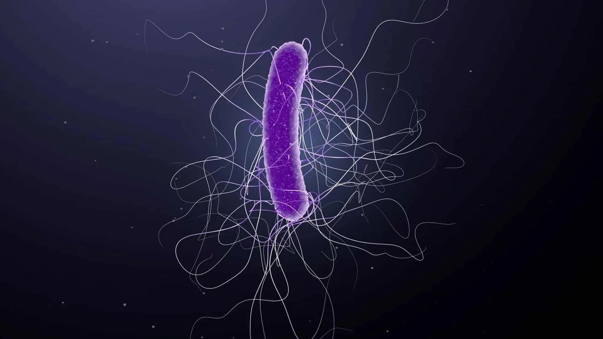 Acurx сосредоточена на разработке новых антибиотиков / Фото: acurxpharma.com