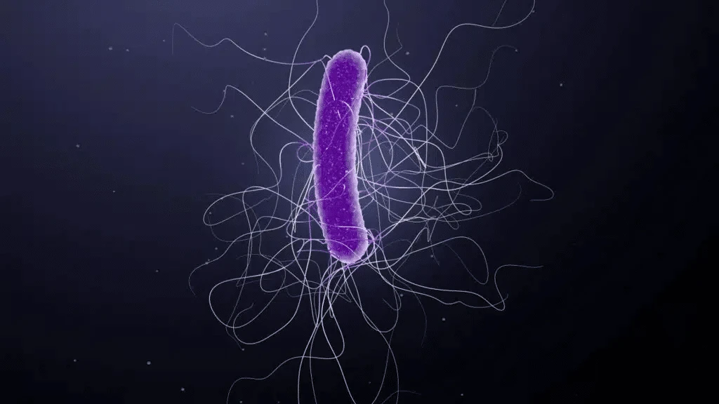 Acurx is making a new class of antibiotics / Photo: acurxpharma.com