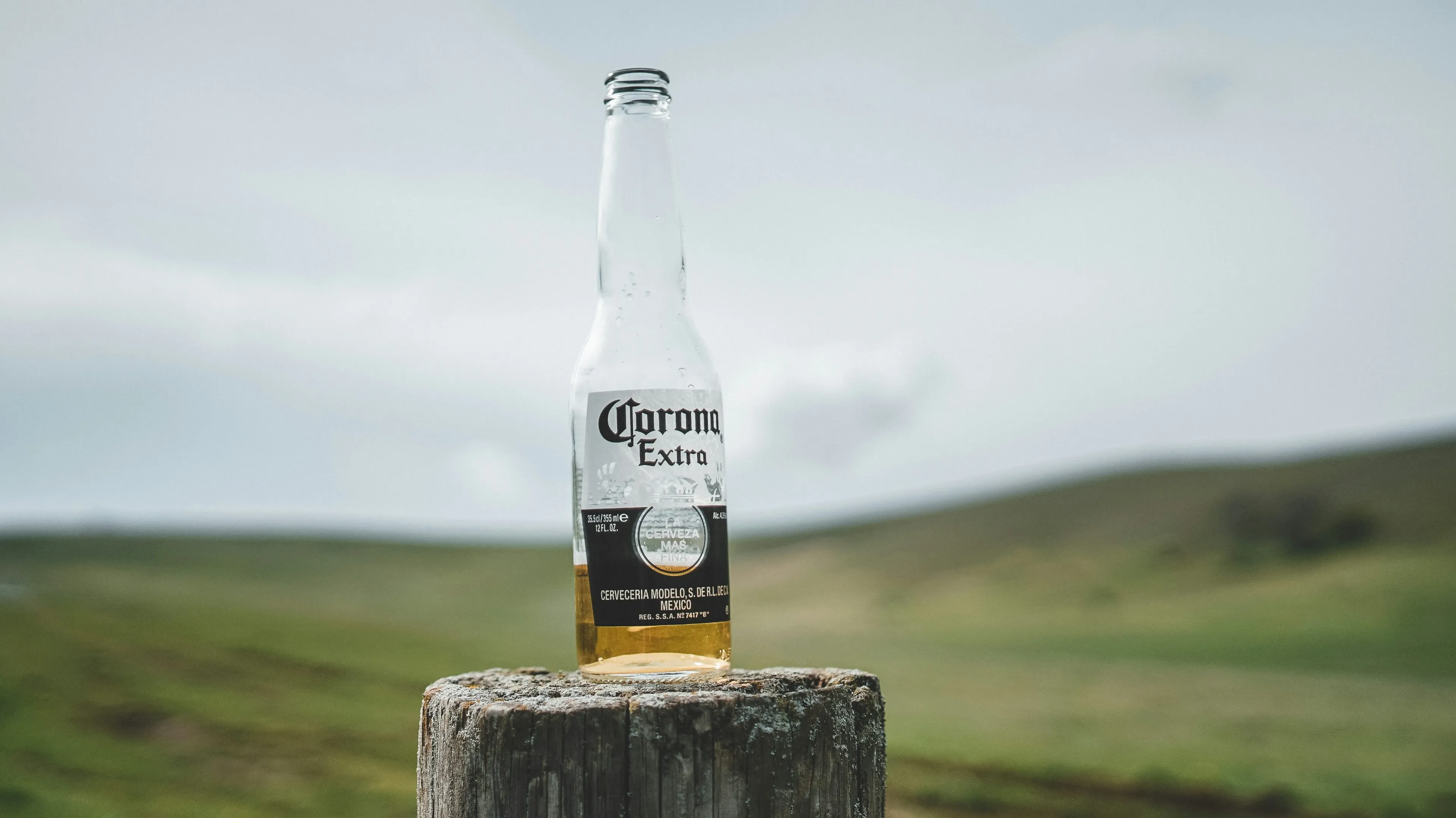 Акции производителя Corona упали почти на 5% после отчета за второй квартал финансового года/ Фото: Unsplash/Zan Lazarevic