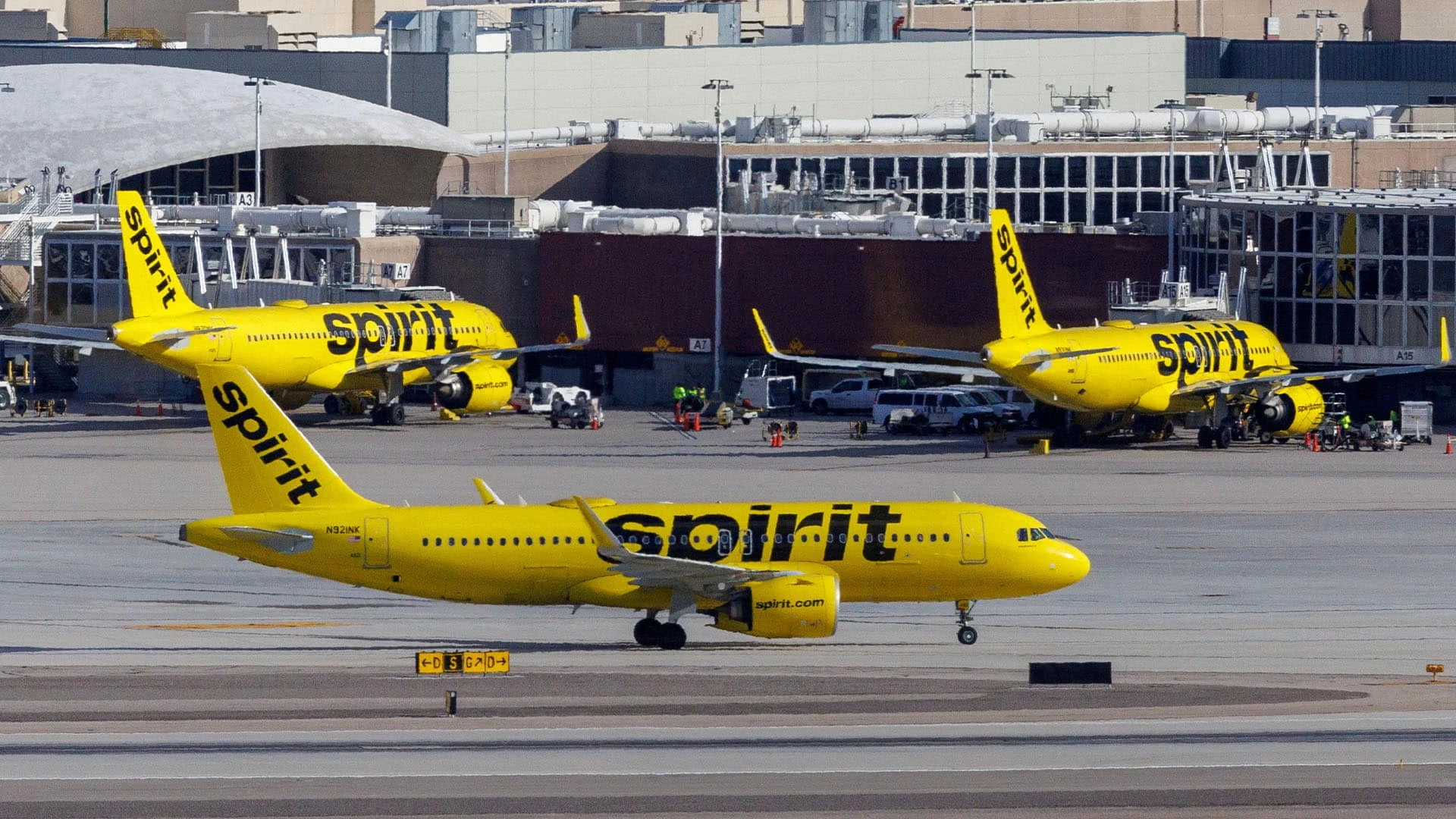 Лоукостер Spirit может обанкротиться / Фото: REUTERS/Mike Blake