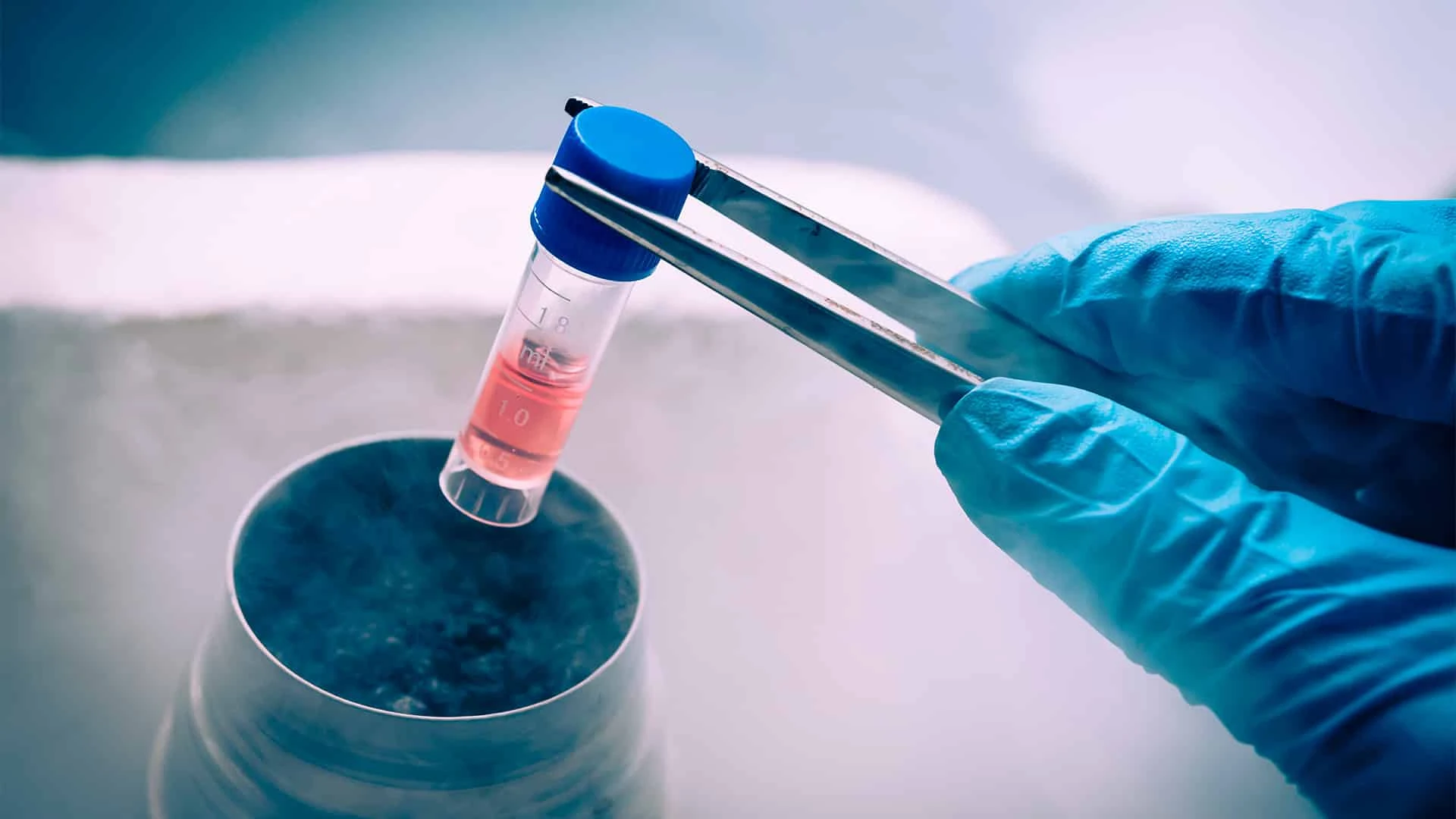 BioStem разрабатывает препараты на основе плаценты / Фото: Shutterstock