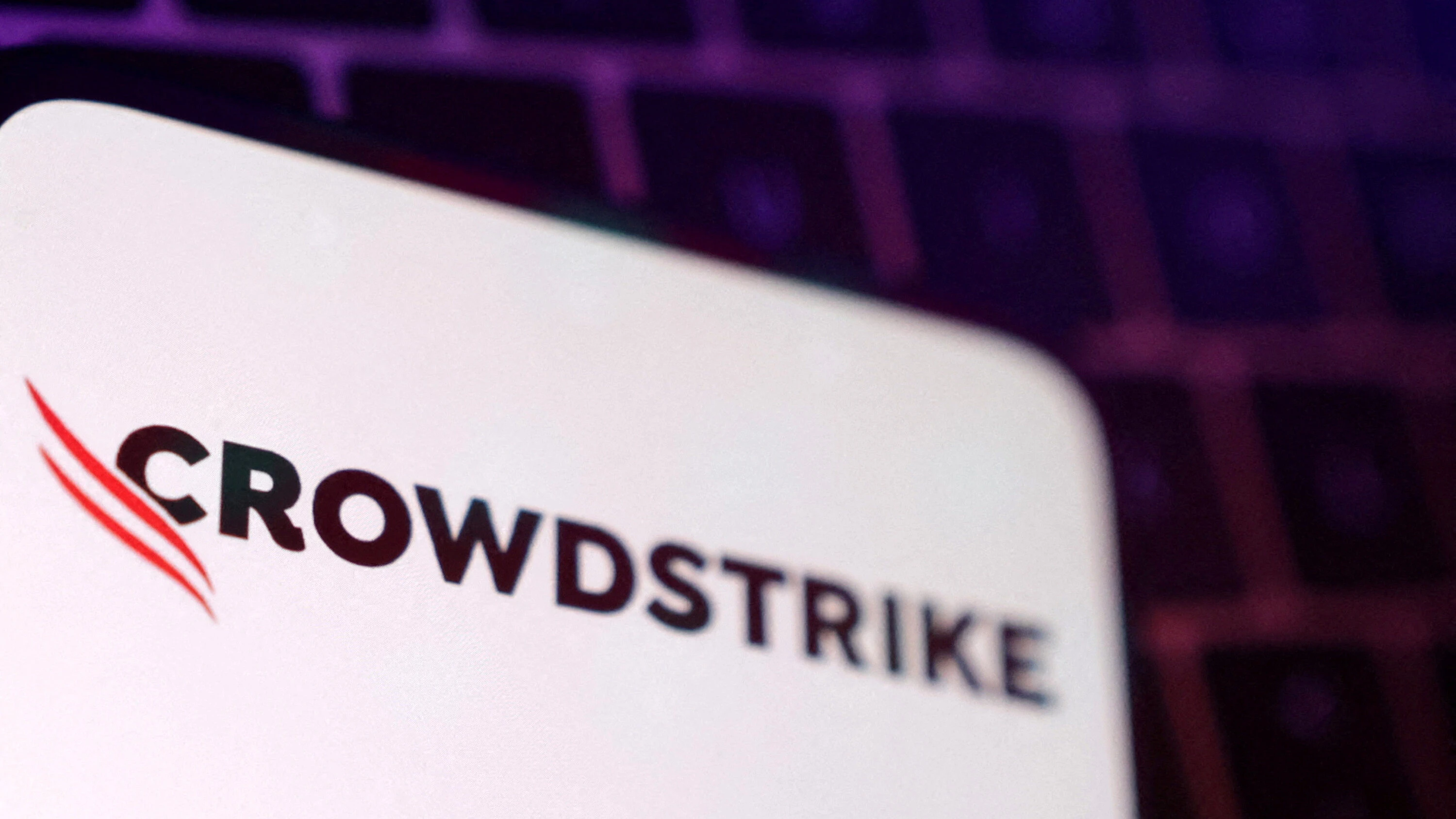 CrowdStrike показала сильный отчет за прошлый квартал, но разочаровала инвесторов прогнозом по выручке и прибыли на текущий / Фото: Reuters/Dado Ruvic