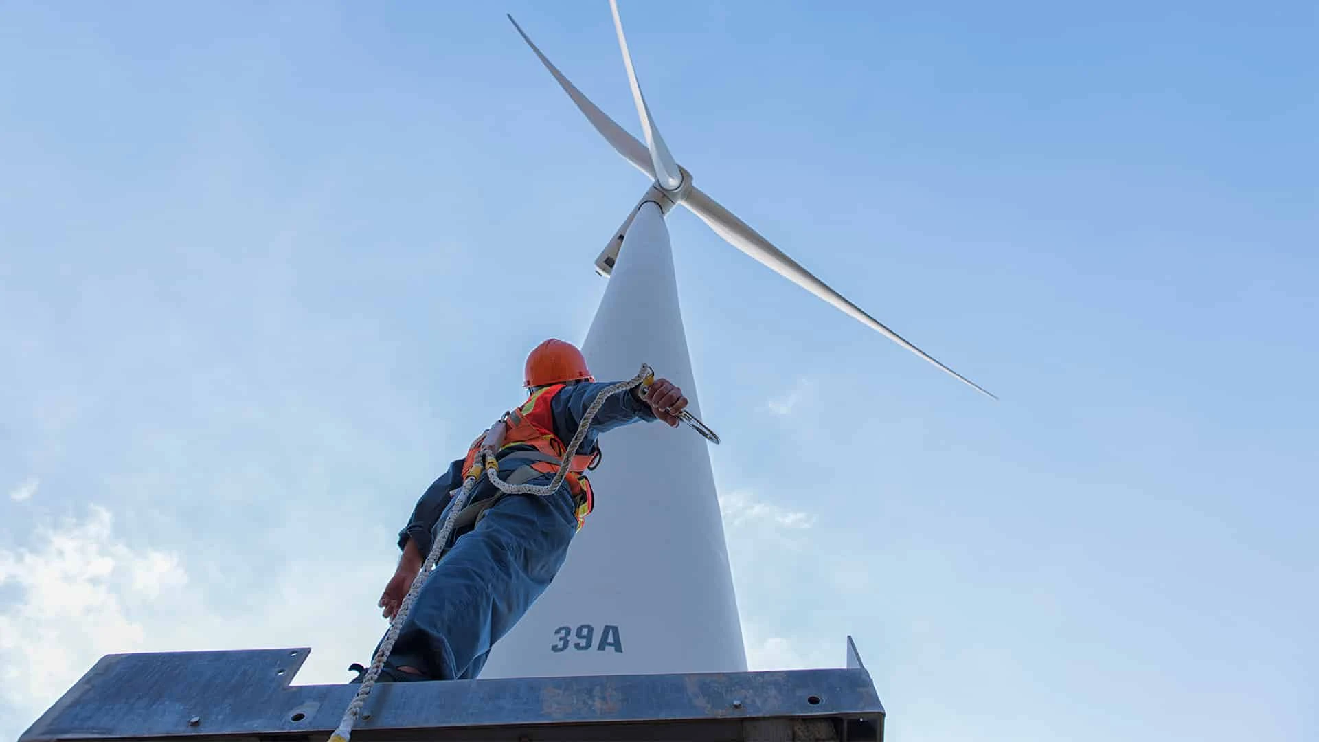 Акции европейских компаний в сфере зеленой энергетики упали после заявлений Трампа о запрете строительства ветрогенераторов в США / Фото: Shutterstock
