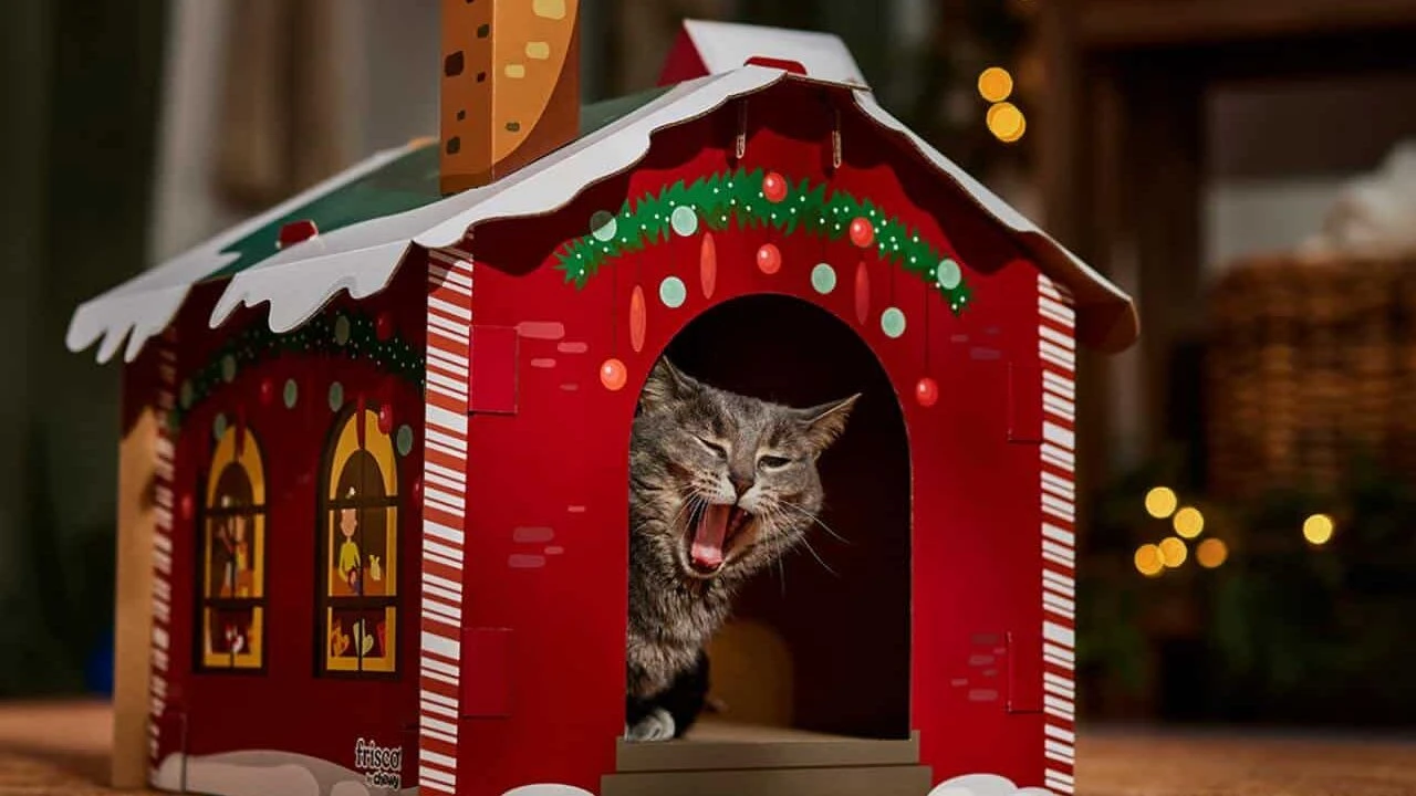 Evercore ожидает роста акций Chewy еще на 31% и советует инвесторам покупать бумаги компании / Фото: X/ Chewy