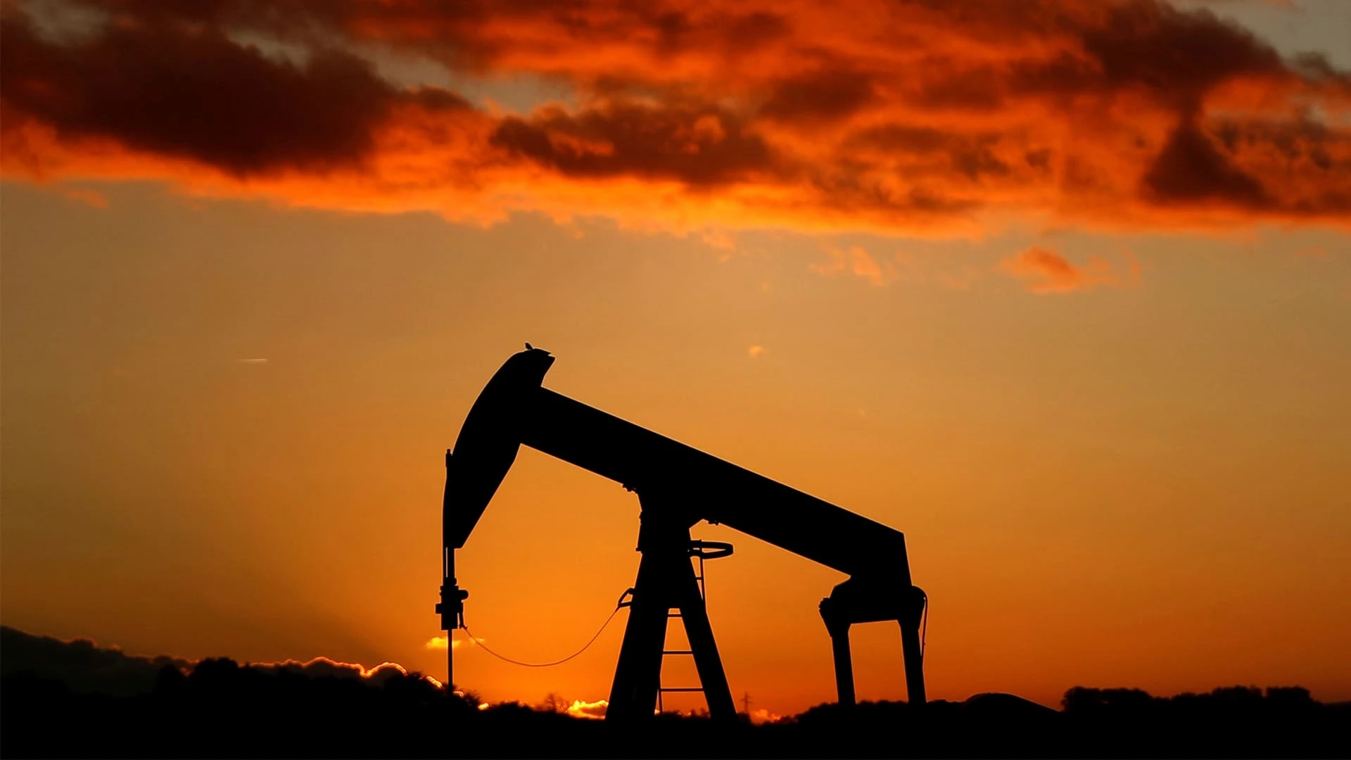 По оценке Citi, ключевыми факторами для рынка нефти в 2025 году могут стать действия Трампа в отношении Ирана и России / Фото: REUTERS/Christian Hartmann