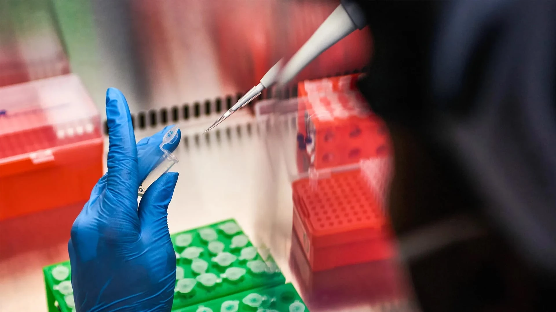 Maze Therapeutics разрабатывает препараты для лечения почек и сердечно-сосудистых заболеваний / Фото: Waldo Swiegers/Bloomberg