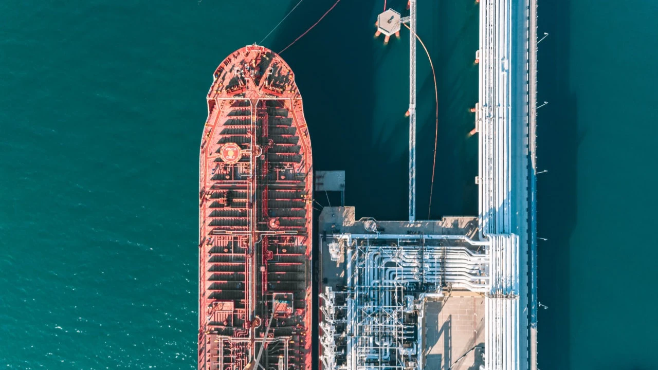 Фото: Evgenii Bakhchev / Shutterstock.com