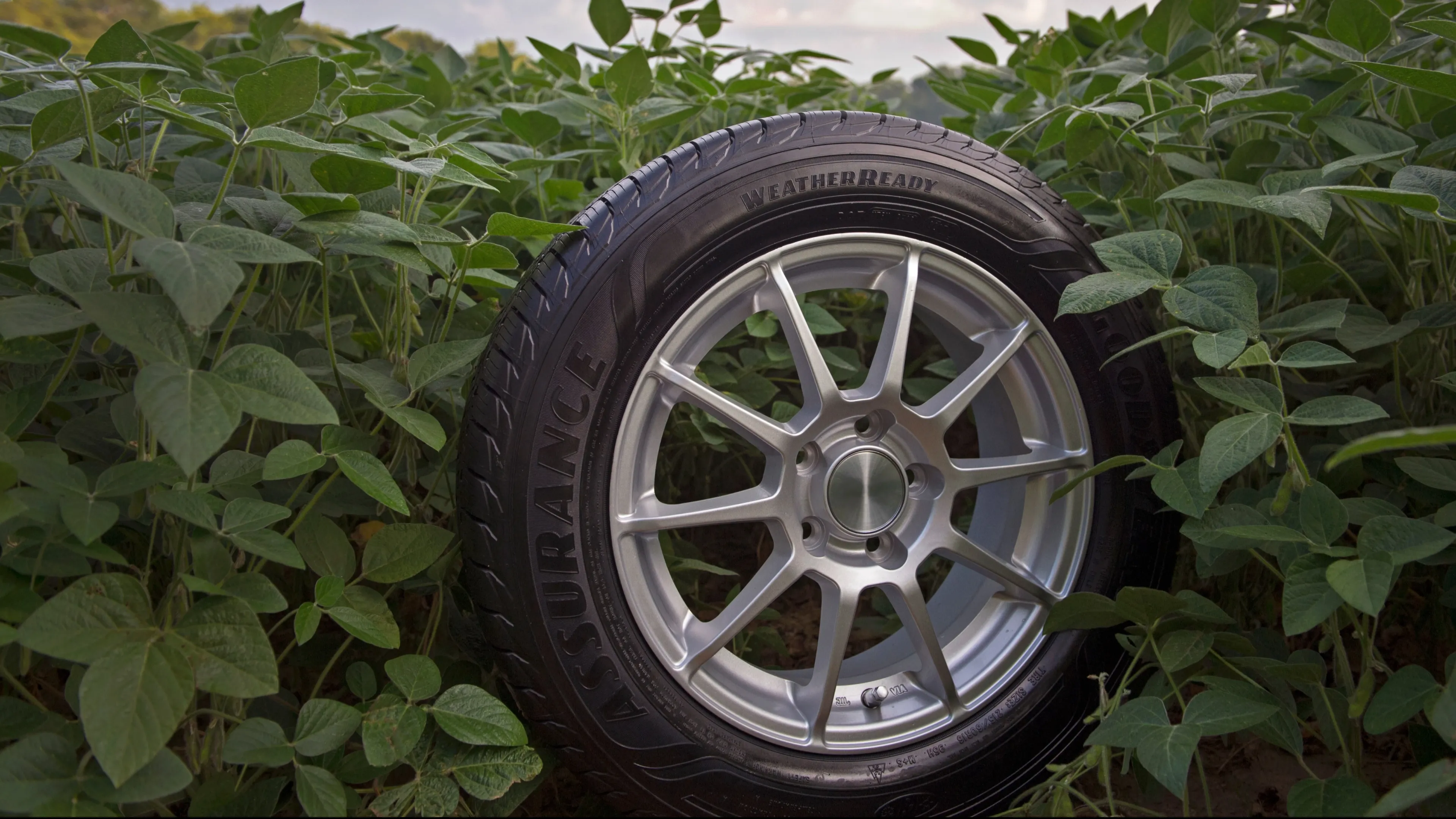 Финансовая ситуация Goodyear улучшается, считают аналитики / Фото: Goodyear cite