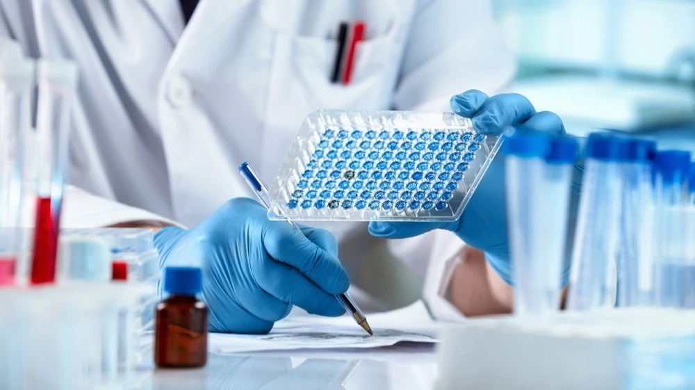 Lisata разрабатывает препараты для борьбы с раковыми опухолями / Фото: angellodeco/Shutterstock.com