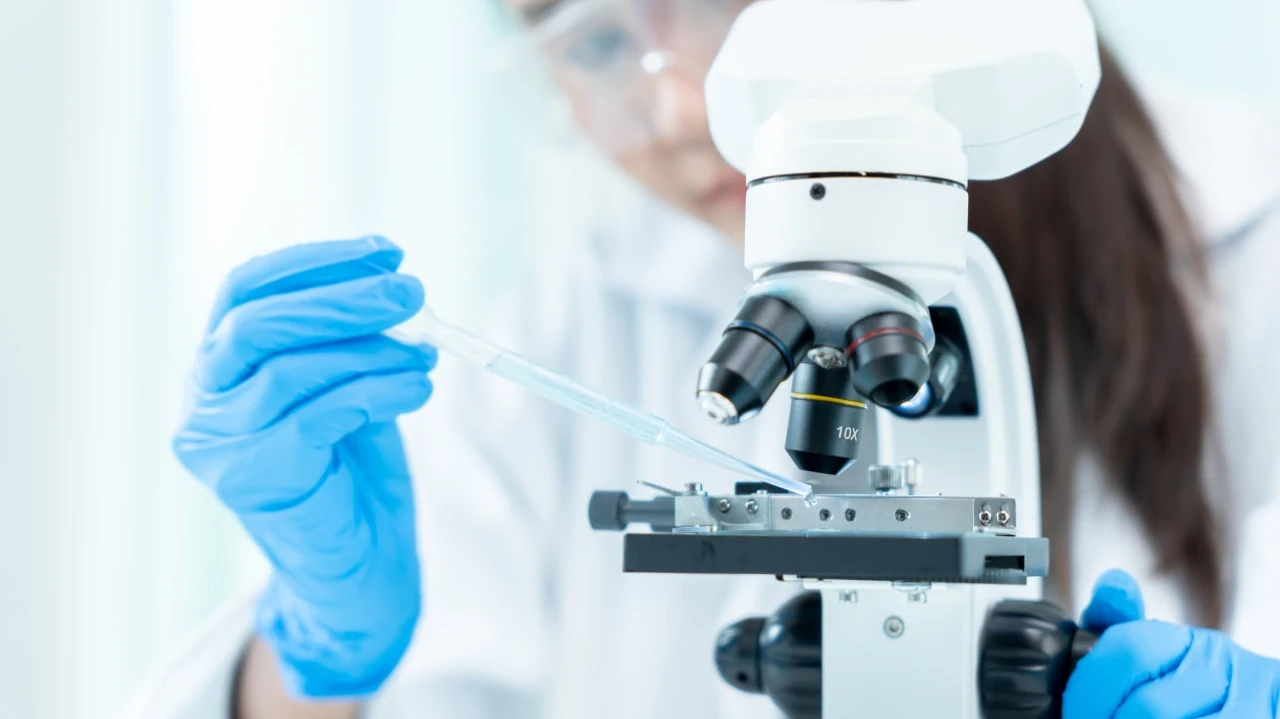 «Искусственная кожа» от Abeona помогает «людям-бабочкам» заживлять раны / Фото: shisu_ka / Shutterstock.com