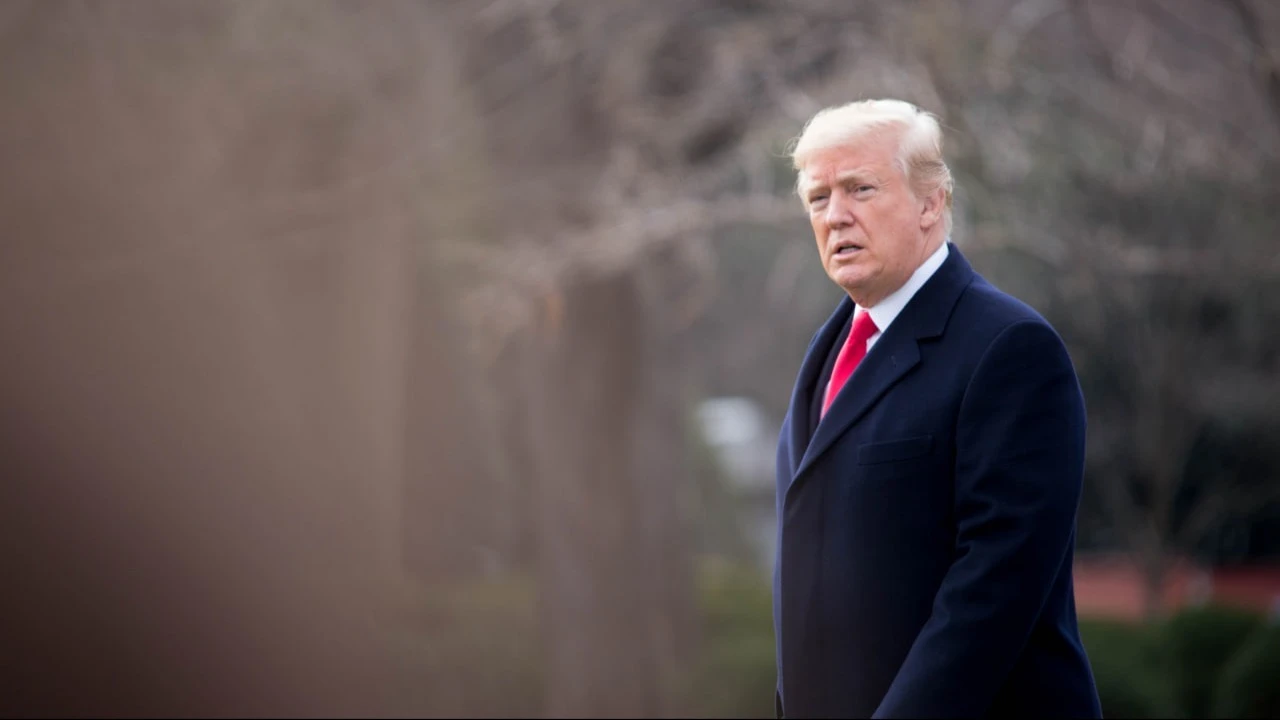 Фото: Michael Candelori / Shutterstock.com