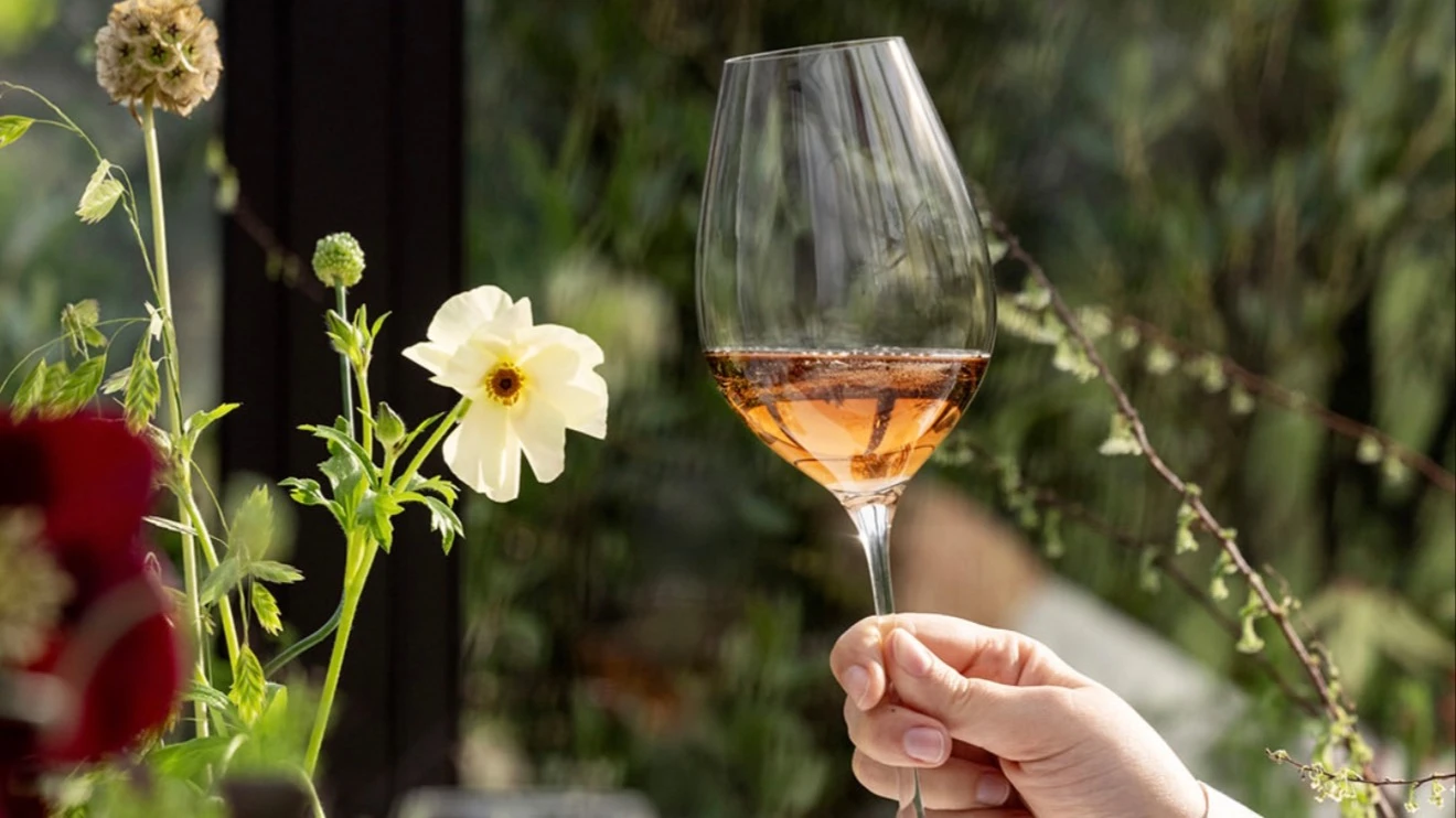 Дом Bollinger выделяется тем, что делает все немного иначе, чем большинство других производителей в Шампани. Фото: Instagram/champagne_bollinger