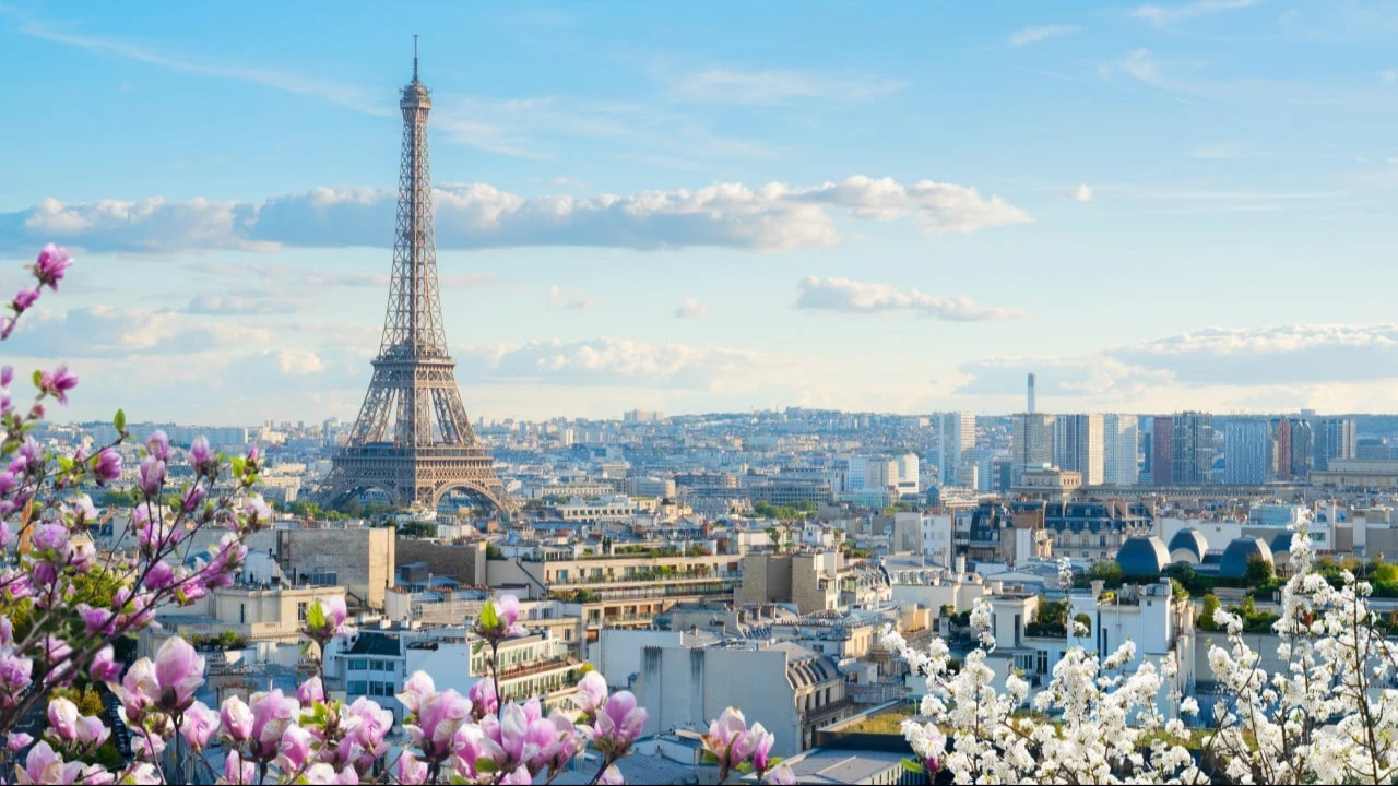 France has turned out to be Europes most disliked by investors. What is wrong with it?