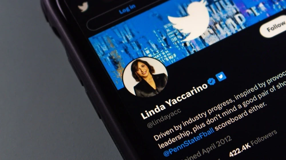 Фото: Koshiro K / Shutterstock.com