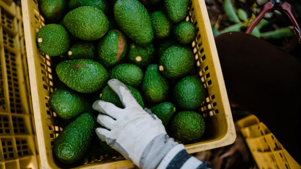 U.S. to impose 30 percent duties on goods from EU and Mexico