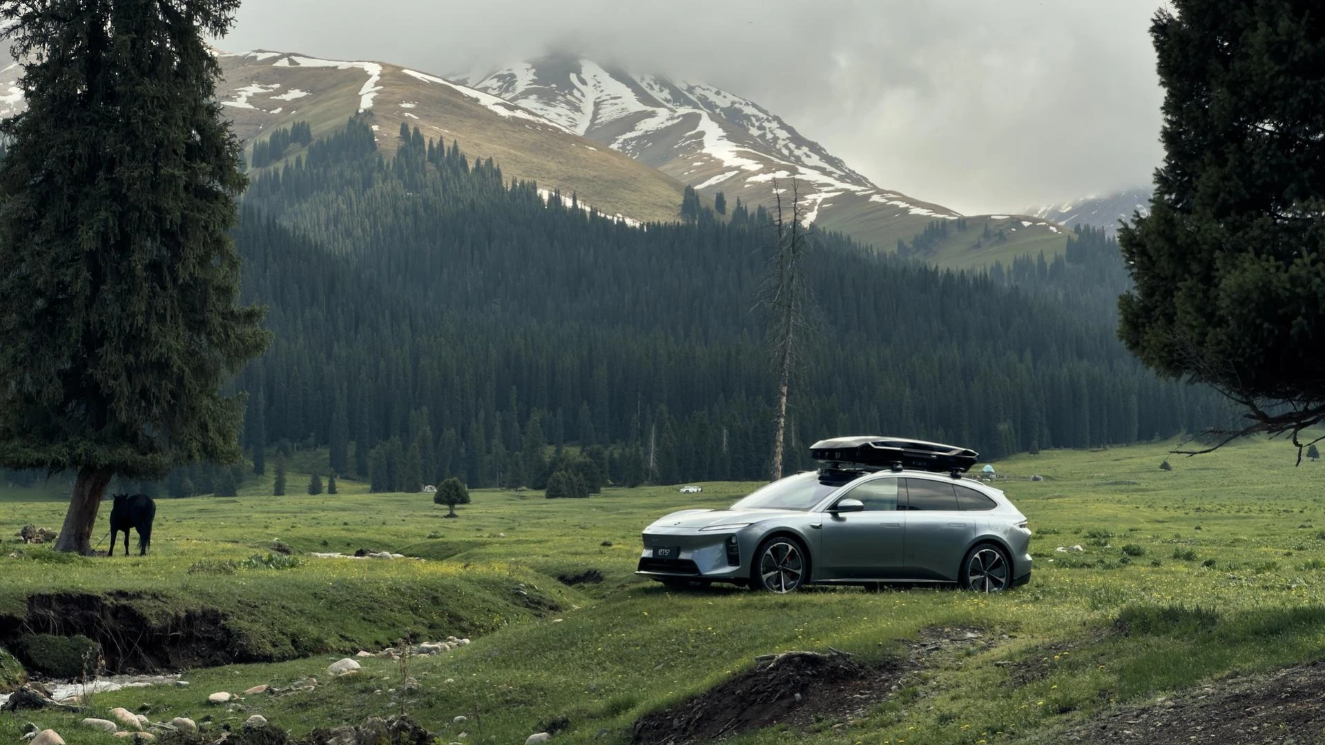 The Motley Fool посоветовал инвесторам три небольшие акции на рынке электрокаров / Фото: facebook.com/NIOGlobal