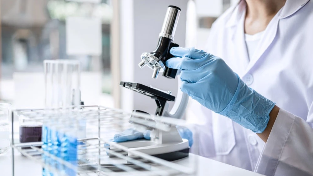 Biotech Sonnet to transform into public crypto treasury company. All about the deal