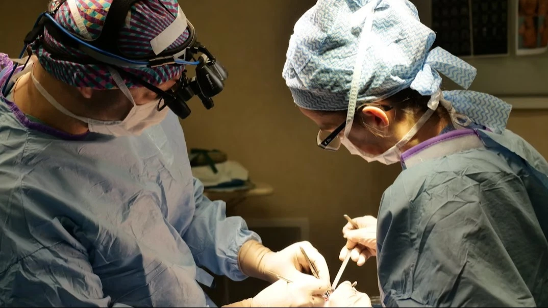 Калифорнийская Carlsmed применяет ИИ для планирования операций на позвоночнике и создания индивидуальных 3D-имплантов / Unsplash