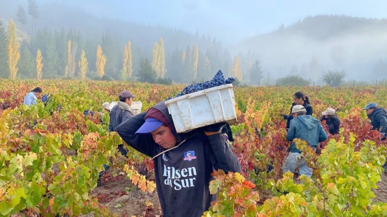 Garage masterpieces: where to find the best wine from small producers