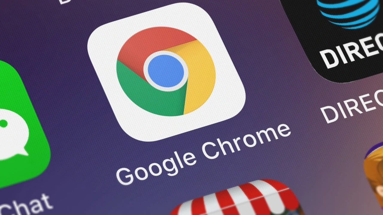 Фото: OpturaDesign / Shutterstock.com