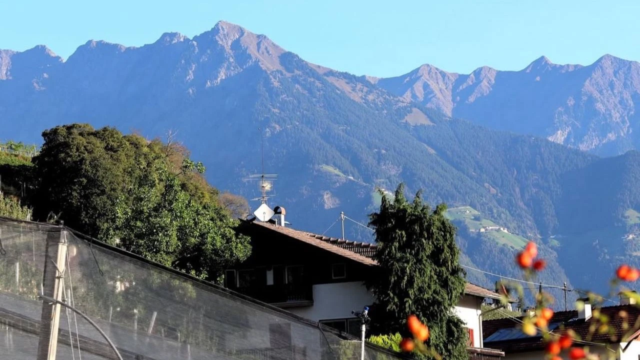 Винодельня Grawü находится в Южном Тироле, в месте, где немецкая сдержанность соседствует с итальянской экспрессией. Фото: grawu.wine / Instagram