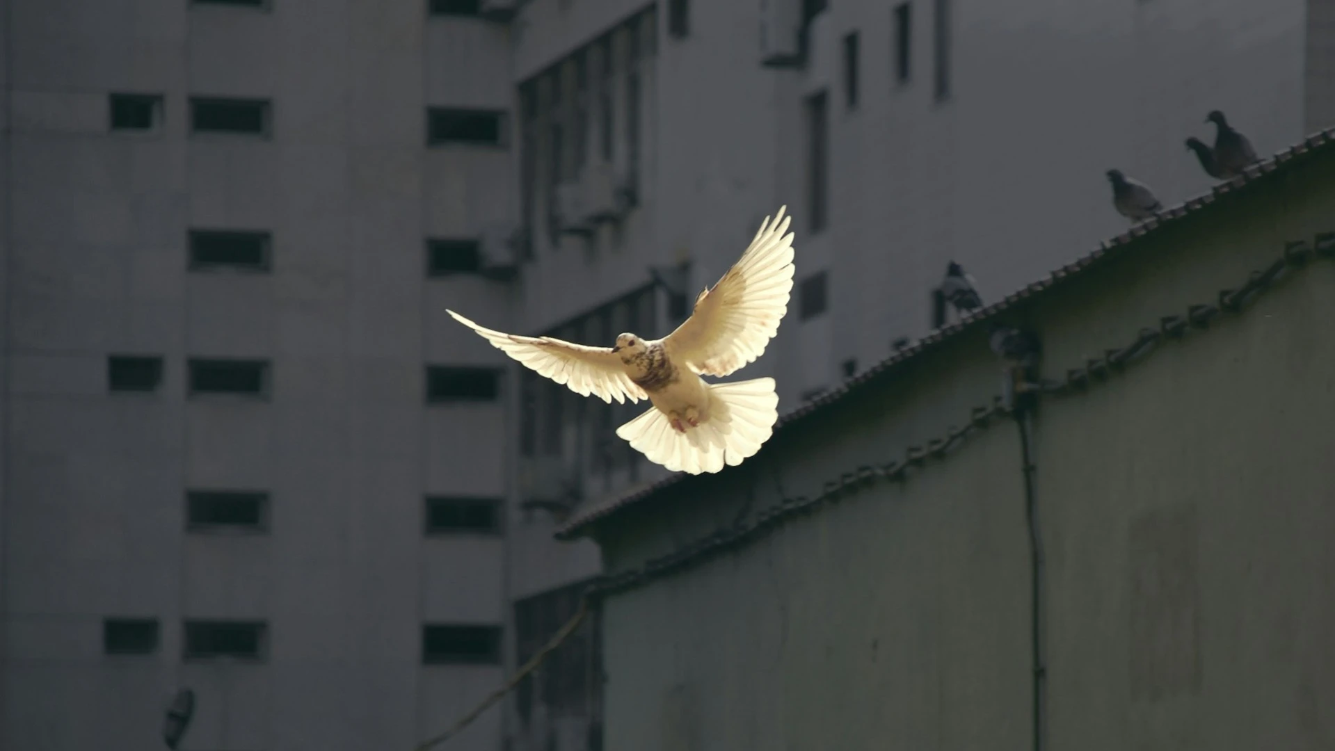 Большинство аналитиков теперь прогнозирует еще два снижения ставки в 2025 году вместо одного / Фото: Unsplash/Sunguk Kim