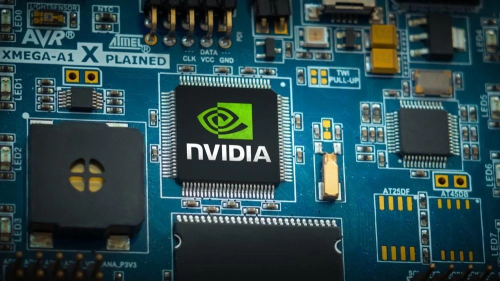 Фото: gguy / Shutterstock.com