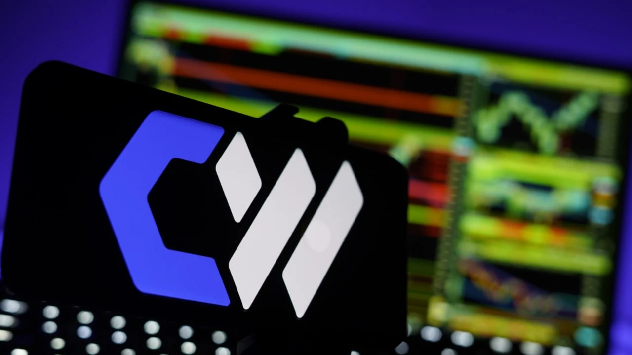 Фото: PJ McDonnell / Shutterstock.com