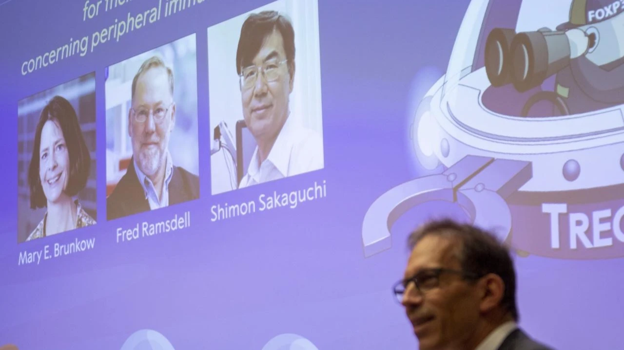 Нобелевскую премию по физиологии и медицине в этом году вручили за открытия в сфере работы иммунитета. Фото: Narciso Contreras / Anadolu via Getty Images