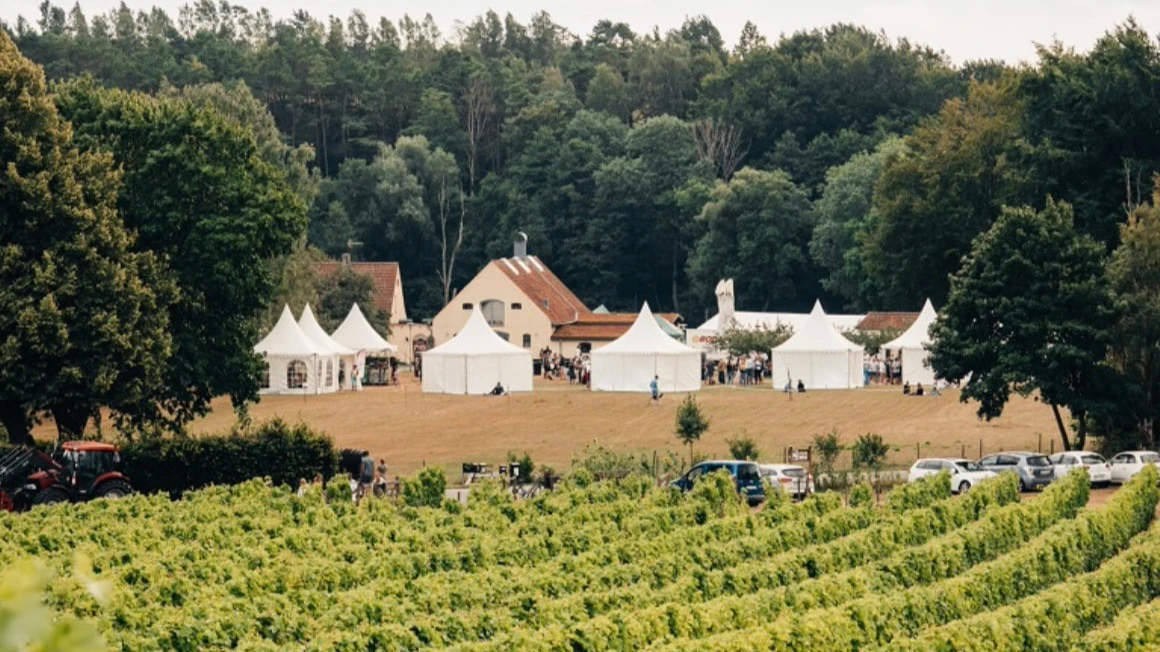 The Nordic Experiment: Whats interesting about Swedish winemaking