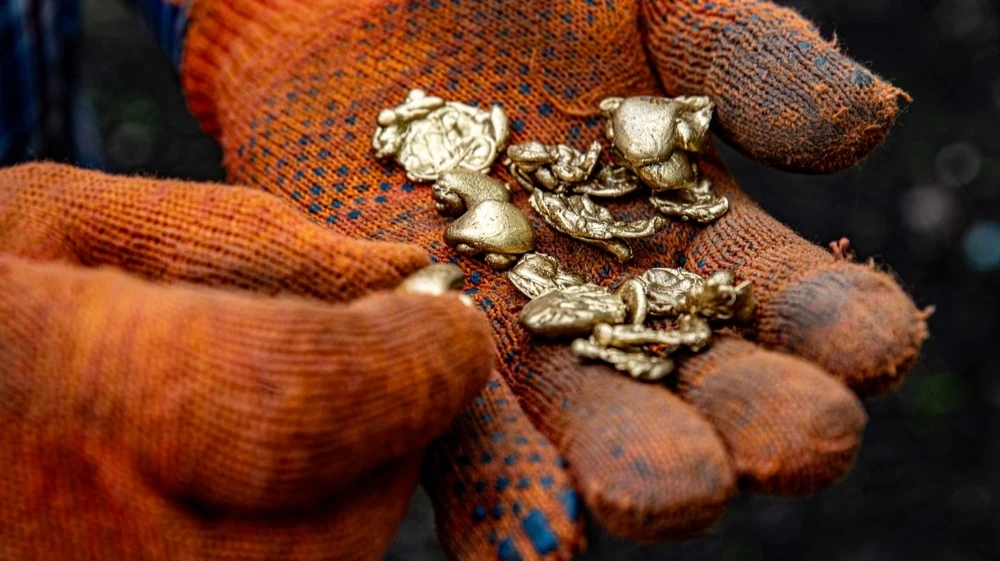 Бизнес-модель Vox Royalty строится на получении роялти от золотодобытчиков / Фото: Shutterstock.com/TSViPhoto