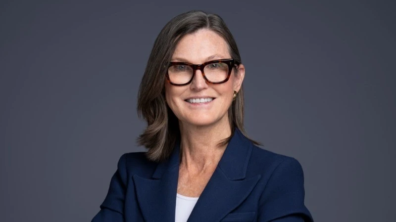 Cathie Wood bought Nvidia shares for the first time since August. Why might they return to growth?