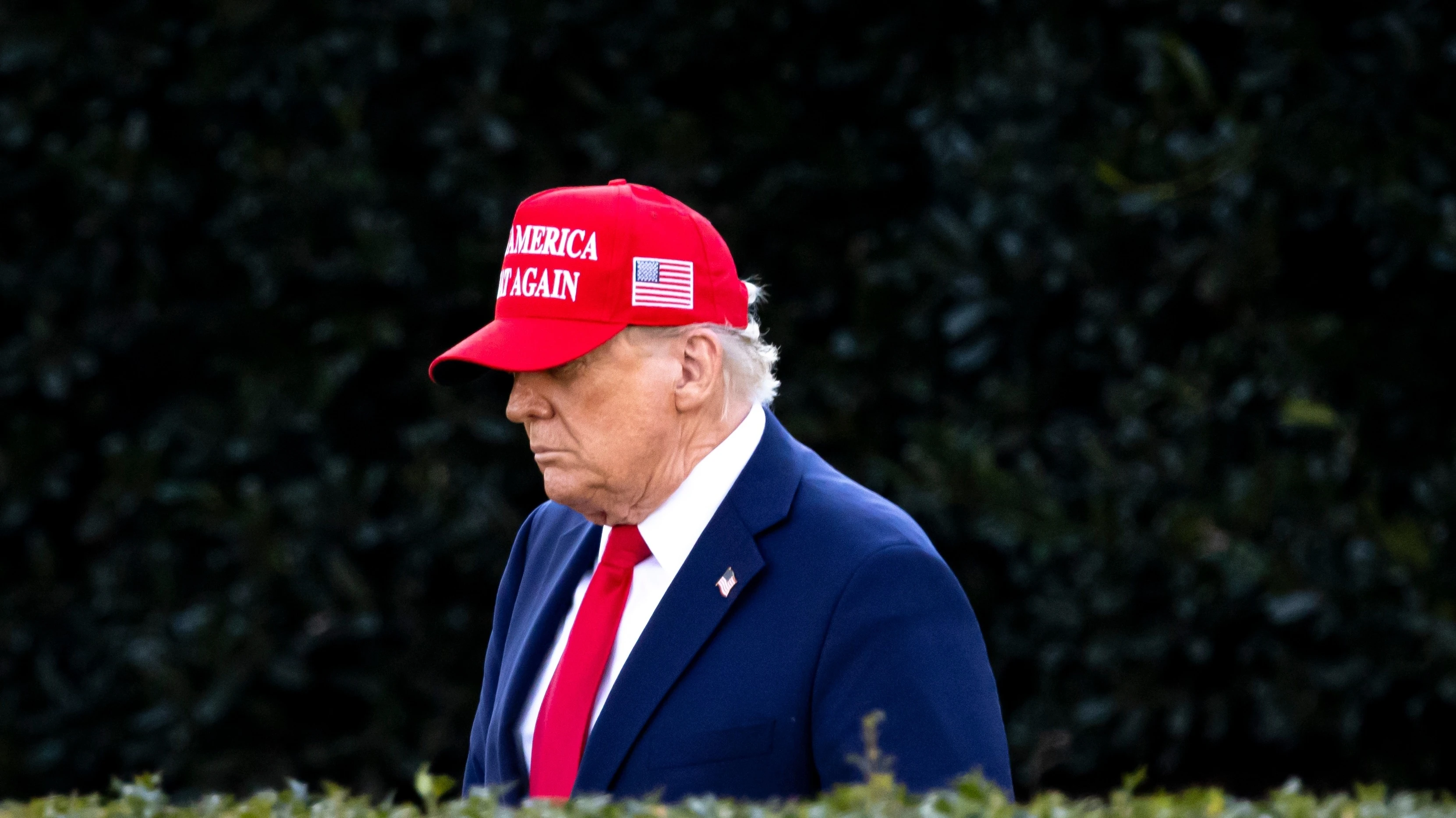 Фото: Shutterstock.com