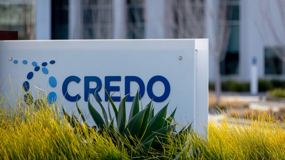 Wall Street expects up to 40% growth from a little-known AI company. Whats its potential?